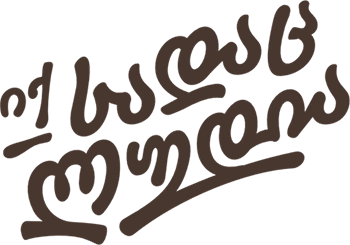 ლუდისა პრემიუმ ჩიფსი